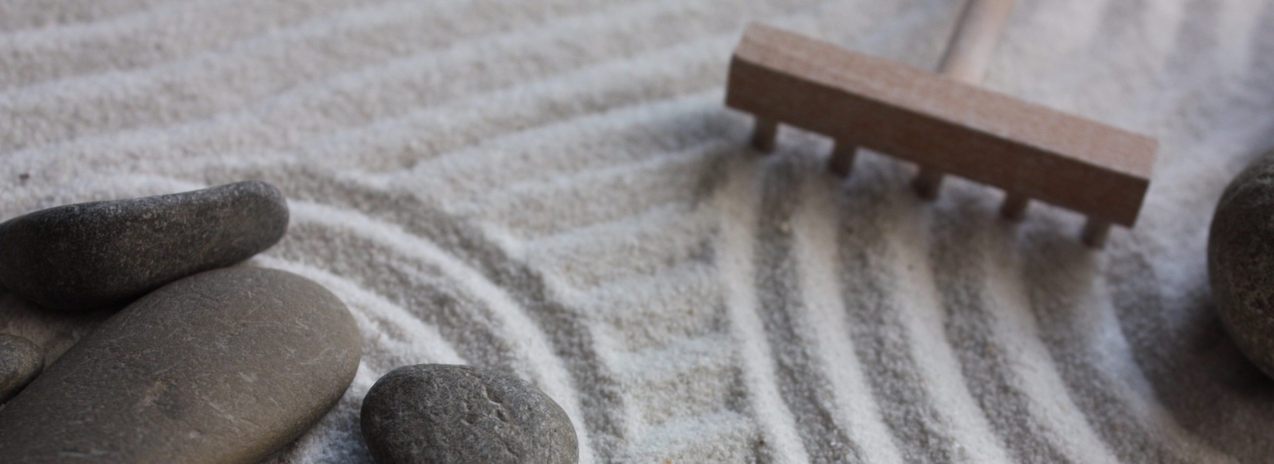 Inversiones en puro ZEN Inversiones en puro ZEN